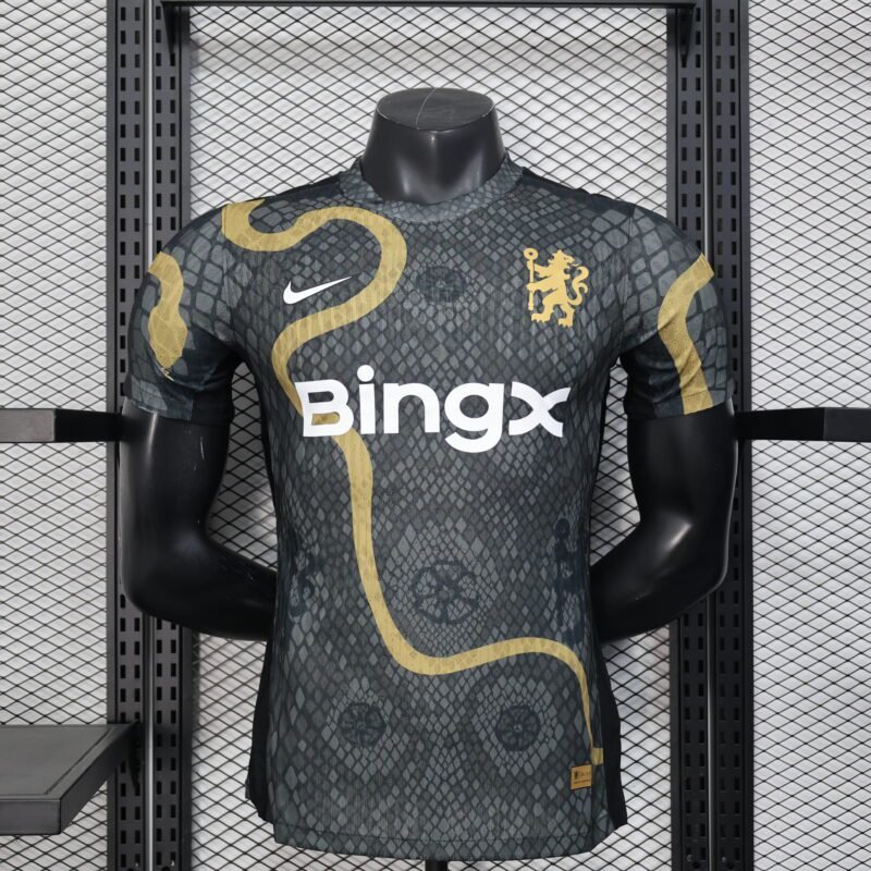 צ'לסי בית 2024/25